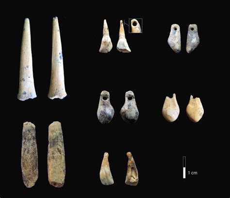 Researchers reveal new timeline of humans at Siberia's Denisova Cave, home to our lost ...