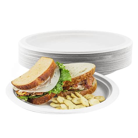 Houseables Compostable Plates, Sugarcane Plate, 500 Count, 9 Inch, Round, 642709232360 | eBay