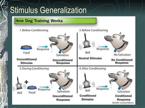 Stimulus Meaning