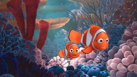 Download Gambar Sketsa Ikan Nemo Sketsabaru - Riset