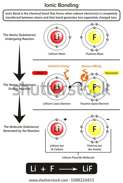 Ionic Bonding Infographic Diagram Example Ionic Stock Illustration 1088226851