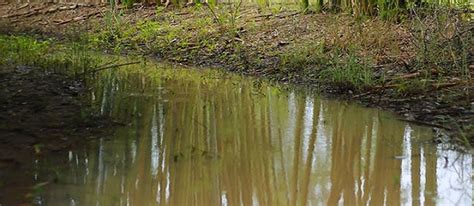 How to Build a Swale on Contour Successfully - The Permaculture Research Institute