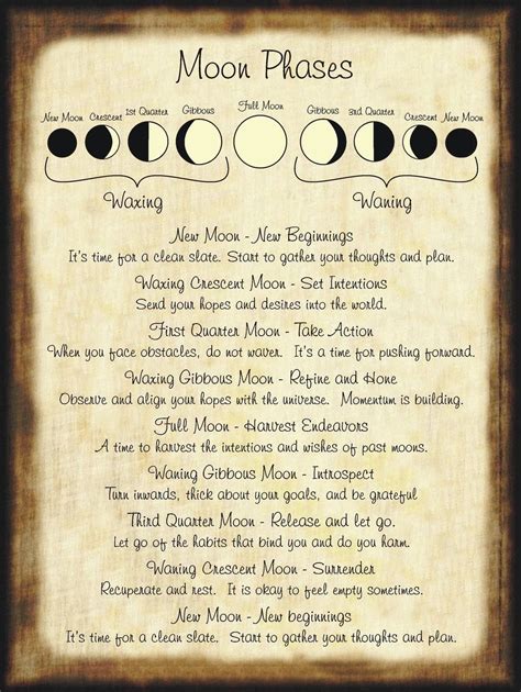 Moon Phases | Halloween spell book, Spell book, Witch