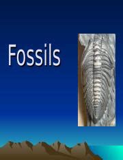 preservation for body fossils Unaltered Original Material original ...