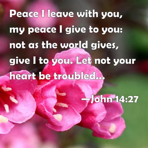 John 14:27 Peace I leave with you, my peace I give to you: not as the world gives, give I to you ...