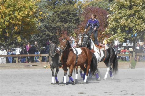 11 Fall Festivals Happening This Weekend in the Chicago Suburbs | St. Charles, IL Patch