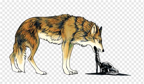 Coyote Dog Vomiting Illustration, vomit Wolf, mammal, animals, carnivoran png | PNGWing