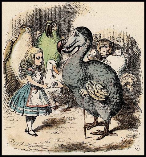 Alice In Wonderland #illustration Alice with the DoDo Bird | Alice in ...