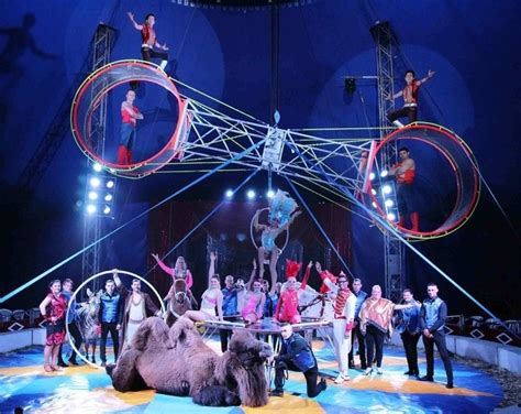 Circus Dream Meaning | Get Your Dream Interpretation Now!!!