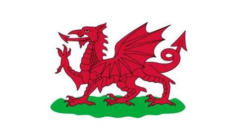 Wales 1807-1953 Flag | Outdoor Quality | Buy Online | MrFlag