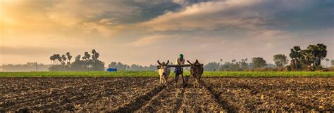 India’s Biggest Challenge: The Future of Farming | The India Forum