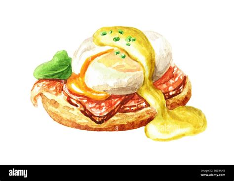 Eggs Benedict. Toasted bread or toast, ham or bacon, poached egg, buttery hollandaise sauce and ...