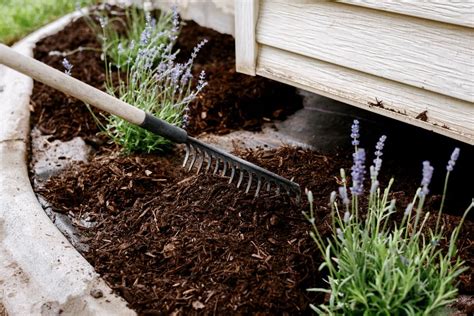 What Is Mulch and Which Mulch Should You Use Where?