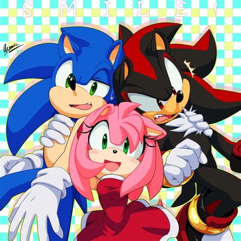 Sonic the Hedgehog, Shadow the Hedgehog and Amy Rose Shadow The Hedgehog, Sonic The Hedgehog ...