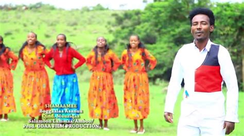 Oromo Music : Boggaalaa Asanuu (Shamamee)- New Ethiopian Music 2018 ...