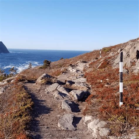 09. Sugarloaf Path | East Coast Trail