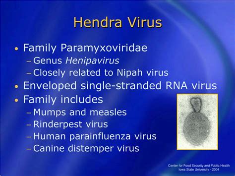 PPT - Hendra Virus PowerPoint Presentation, free download - ID:220413