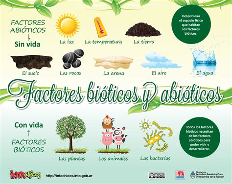 quiero ver figuras de la naturaleza de abioticos y bioticos - Buscar ...