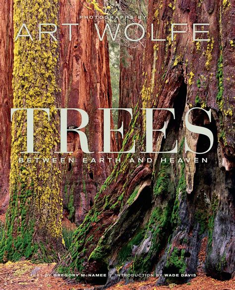 Trees | Book by Gregory McNamee, Art Wolfe, Wade Davis | Official Publisher Page | Simon & Schuster