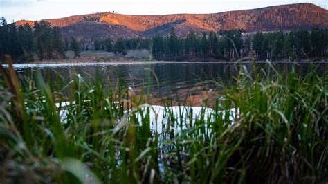 Fenton Lake State Park – The Lobo Life