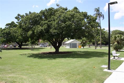 Ascot Park – Australian Environmental Landscapes