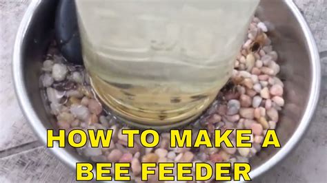 DIY How to make a Bee Feeder -Helping Honey Bees 🍯 🐝 - YouTube