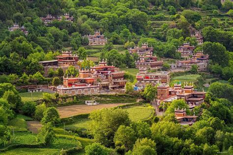 the village is surrounded by lush green trees