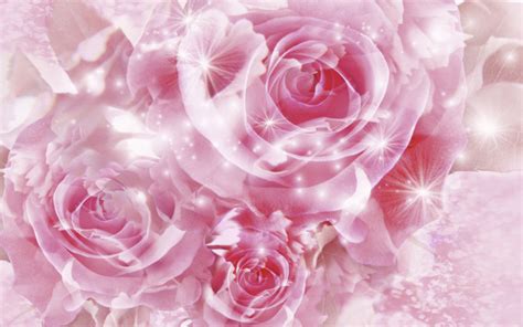 Sparkling Roses | Rosa blumentapete, Blumentapete, Rosentapete