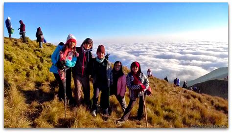 Mt PULAG : This Way To The Clouds ~ Shie Went To Town