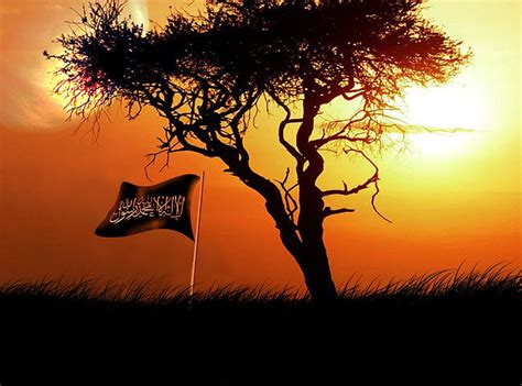 Khilafah, shahada flag, islam, islamic, islam, HD wallpaper | Peakpx