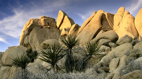 Rock-Formations-Joshua-Tree-National-Park-California - The Golden Scope