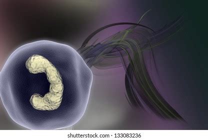 Zygote Cell Division Color Background Stock Illustration 133083230 | Shutterstock