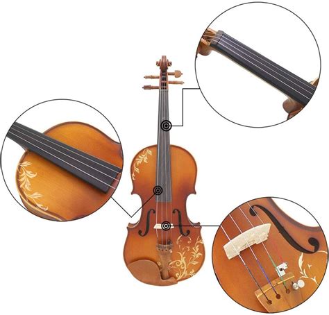 G D A & E Ideal for Beginner Universal Fiddle Replacement String with ...