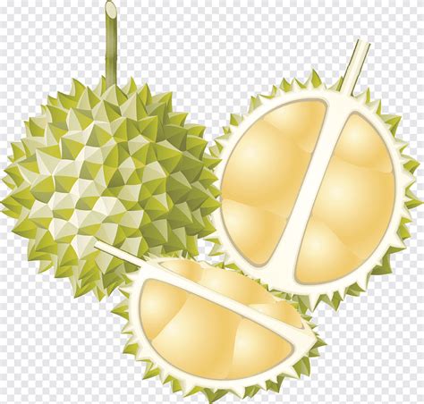 Gambar Buah Durian Kartun : Durian Png Images Pngwing - Apakah anda ...