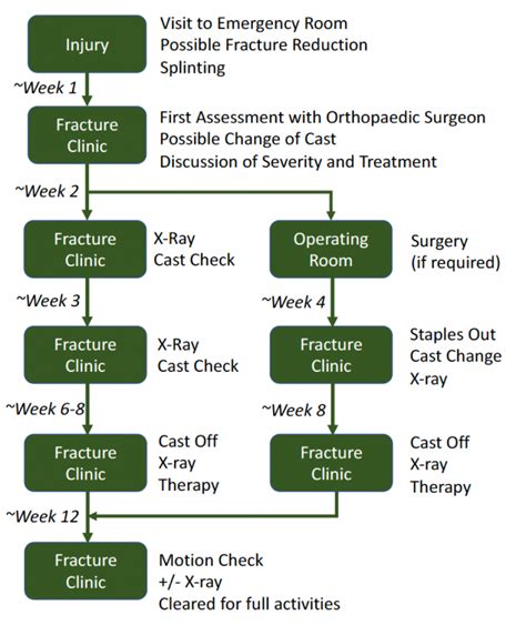 Distal Radius Fractures | Simcoe-Muskoka Orthopaedics