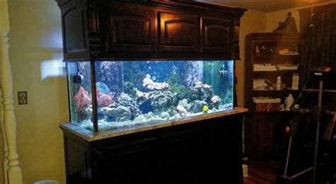 200 Gallon Reef Aquarium for Sale in Muskogee, Oklahoma Classified ...