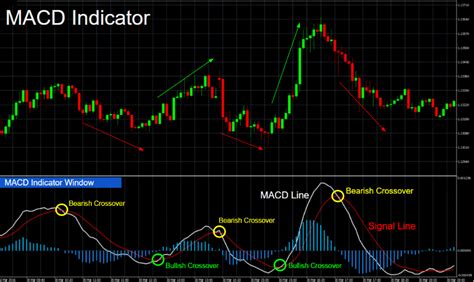 The Best MT4 Indicators & Expert Advisors For Forex Trading