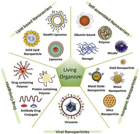 Current Nanomedicines for the Treatment of Cancer | Biopharma PEG