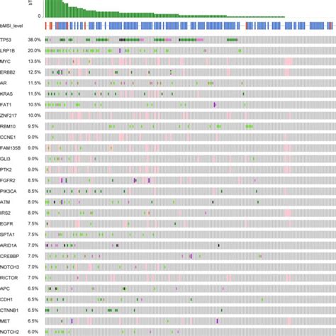 Genomic profiling of ctDNA sequencing in advanced gastric adenocarcinoma | Download Scientific ...