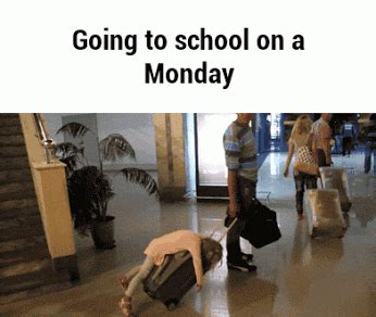 Going to school on a Monday is like... #Funniest #Funny #FunnyGifs # ...