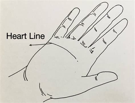 Palm Reading – Heart Line Meaning in Hand – Palm Reading