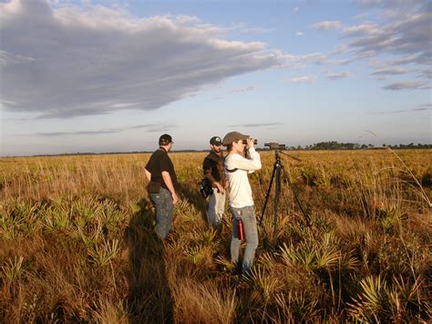 Kissimmee Prairie Preserve State Park | Florida State Parks