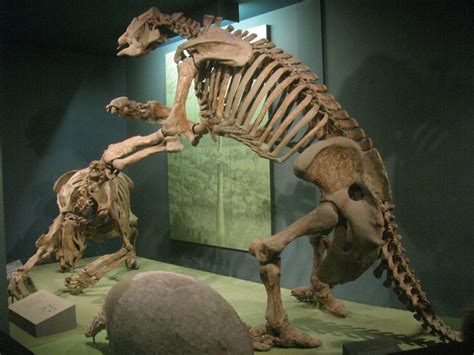 Giant Ground Sloths | These have always been among my favori… | Flickr