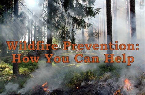 Wildfire Prevention: How You Can HelpCounting My Chickens