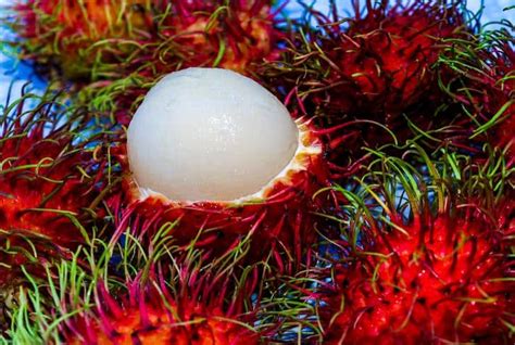 11 Outstanding Benefits Of Rambutan - Healy Shots