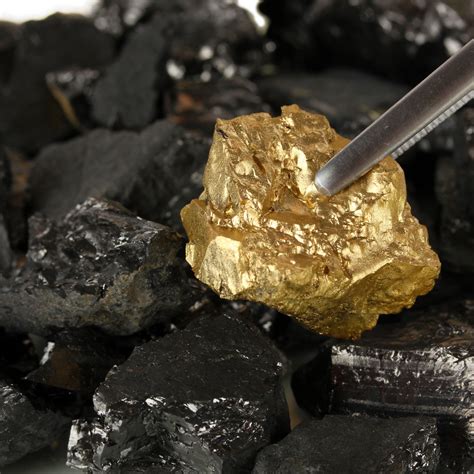 Gold Mining Company's Shares Jump 1,300% After Switch to Bitcoin ...