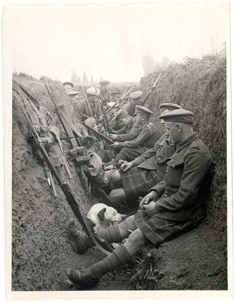 WW1: Scottish soldiers in a trench. Note the dog keeping company. The group includes both kilted ...