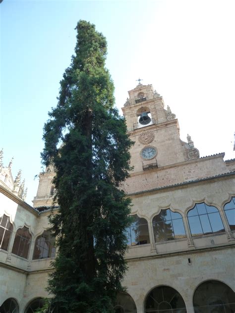 Signs of Discovery: University of Salamanca and surrounding area...