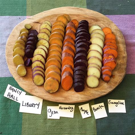 Asheville Heritage Food Project celebrates endangered vegetable and fruit varietals | Mountain ...