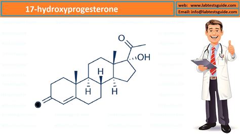 17-Hydroxyprogesterone | Lab Tests Guide